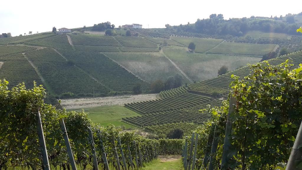 Hotel Palazzo Di Mezzo Carrù Zewnętrze zdjęcie