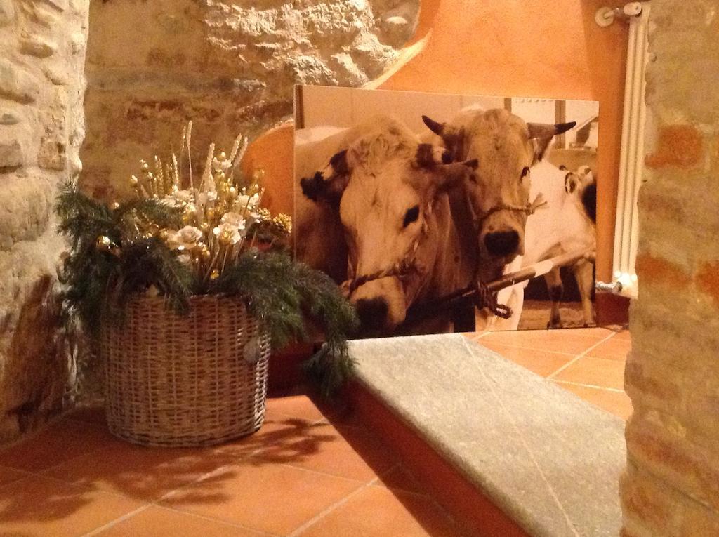 Hotel Palazzo Di Mezzo Carrù Zewnętrze zdjęcie